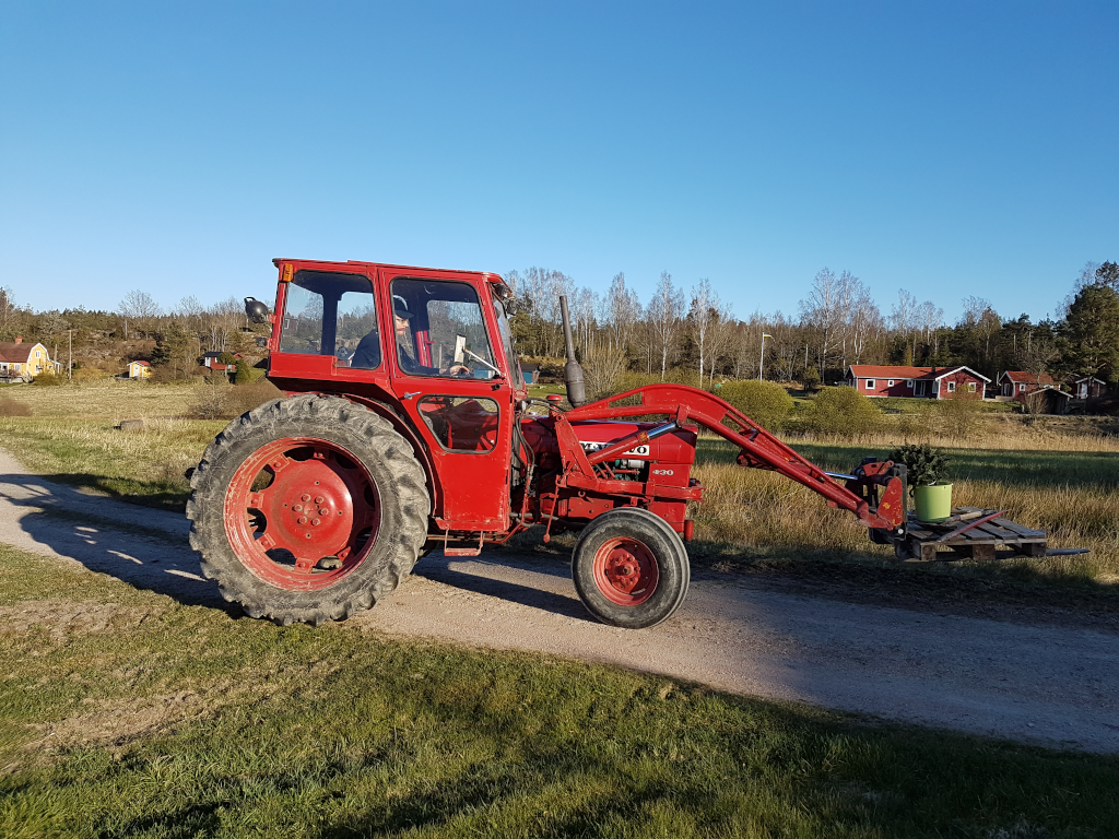 Pontus fraktar julgransplantor i traktorn