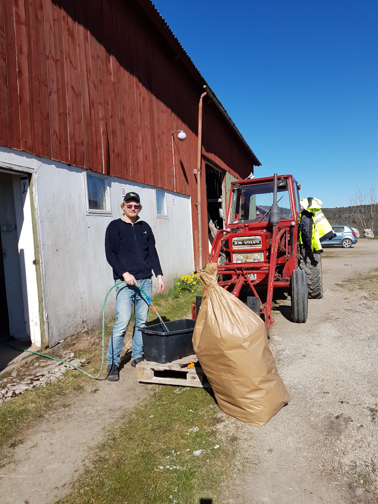 Pontus vattnar julgransplantor